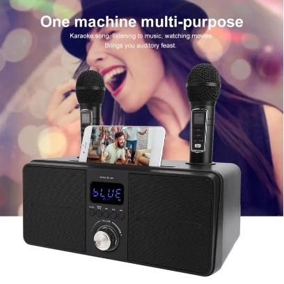 Dual Wireless Microphone Bluetooth Speaker Karaoke 30W