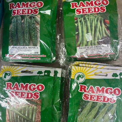 Seeds baguio beans/pole sitaw/okra/ampalaya
